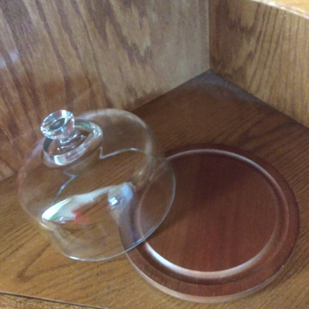 Vintage teak wood and glass cheese server